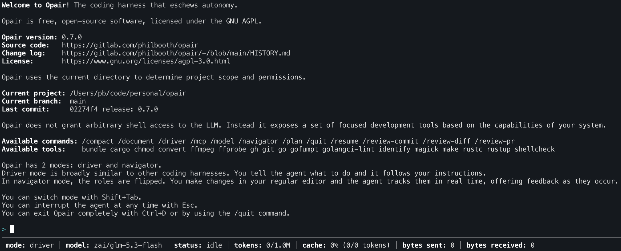 Screenshot of opair running as a terminal command, showing a welcome message that prints the current project then lists the available tools and commands.